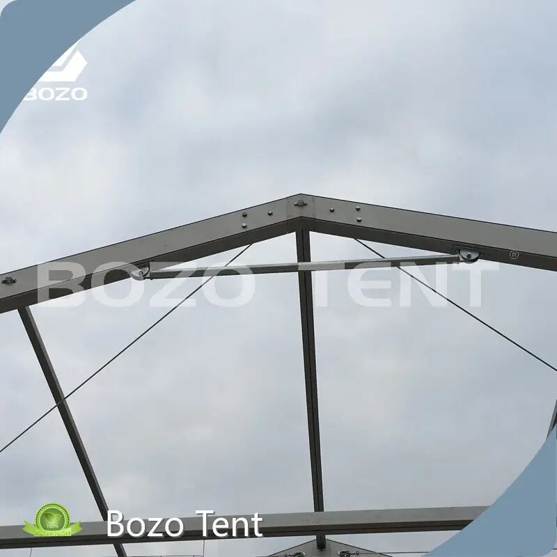 Quality Large Commercial Tents Series for Hanger 1
