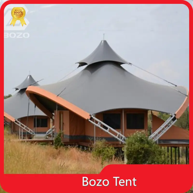 Temporary Warehouse Tent Factory Direct Supply for EventBOZO Tent 1