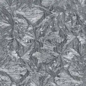 41148 Ice flower 1