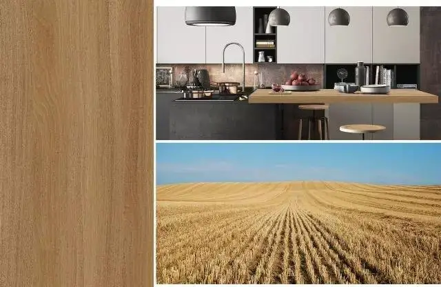 I.DECOR sterling melamine impregnated paper series for master room 5