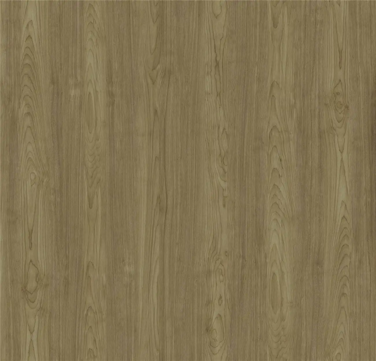 ID6008-01 Sterling Mountain Birch 1