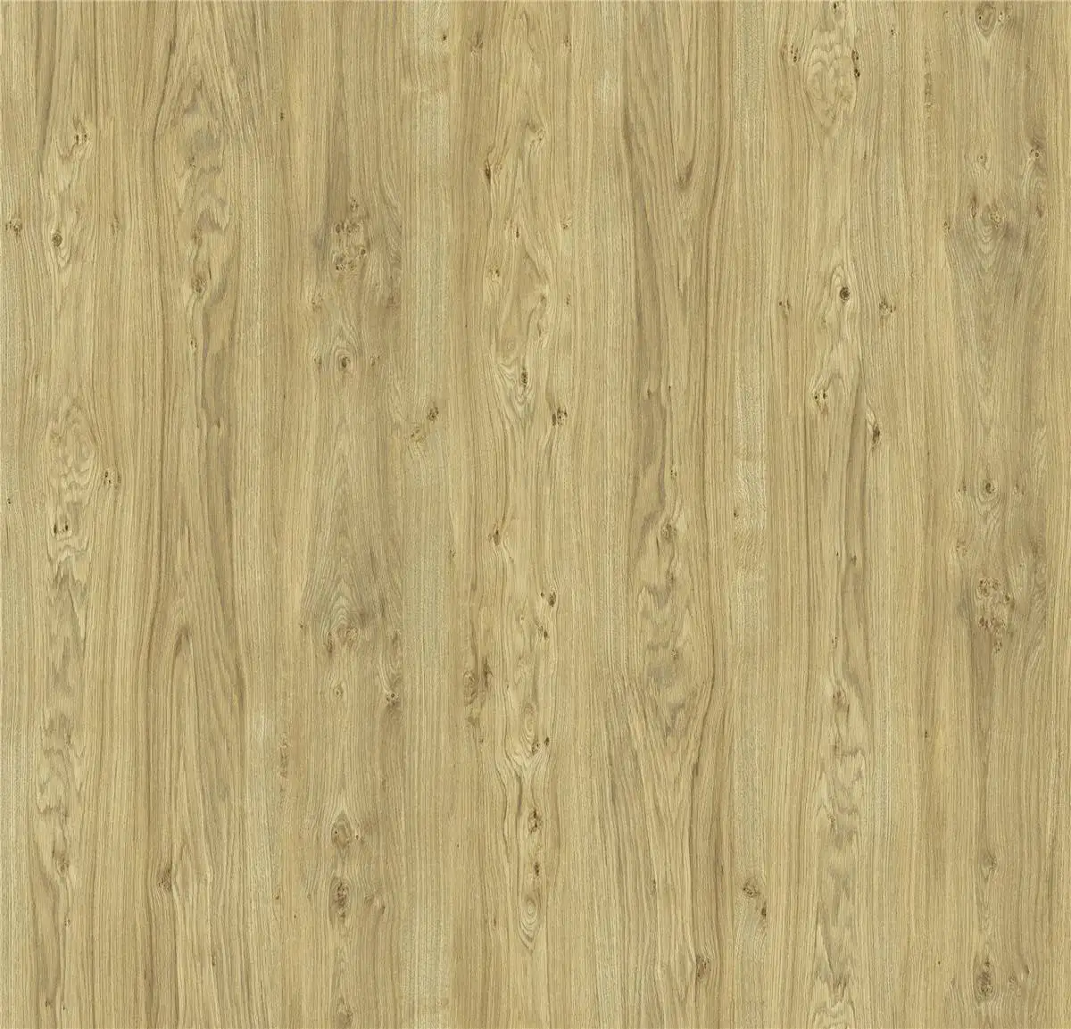 ID-7035-02 Vineyard Oak 1