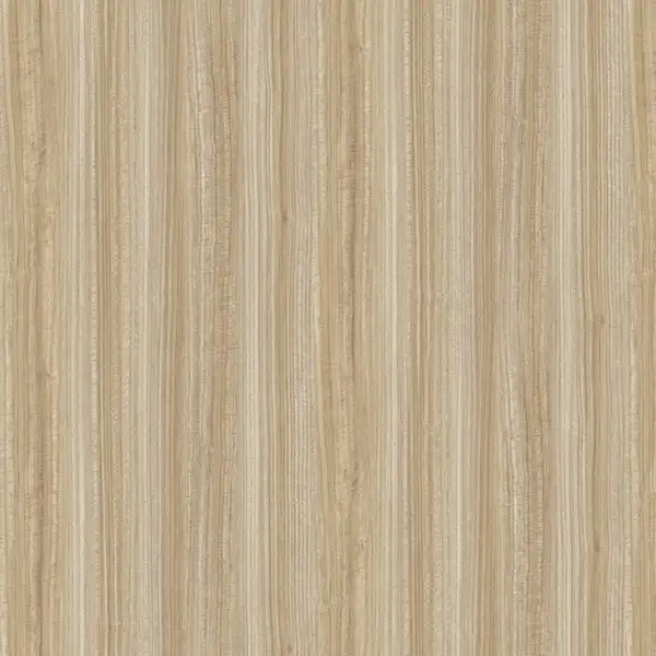 ID-2009 辛巴 1