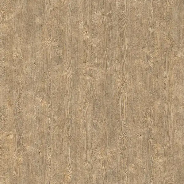 ID-7038 塔科尼克山脊 1