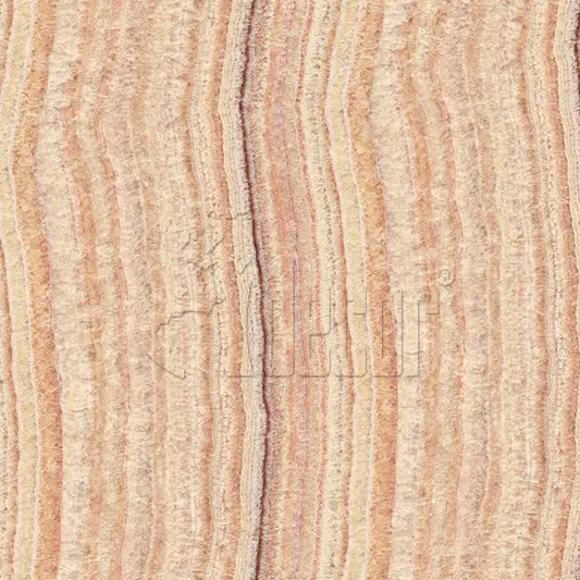 A669 1