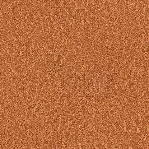 A8808 1