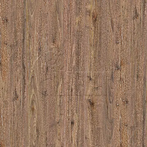 ID-1006 1