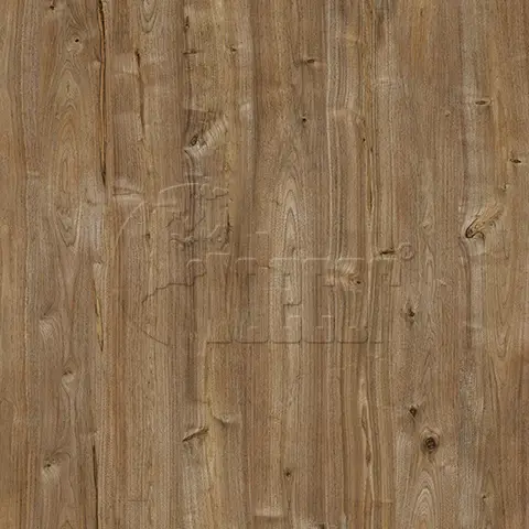 ID-1007 1