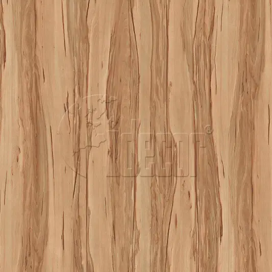40620 Maple 1
