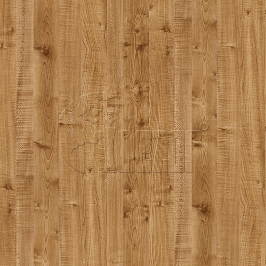 40623 Maple 1