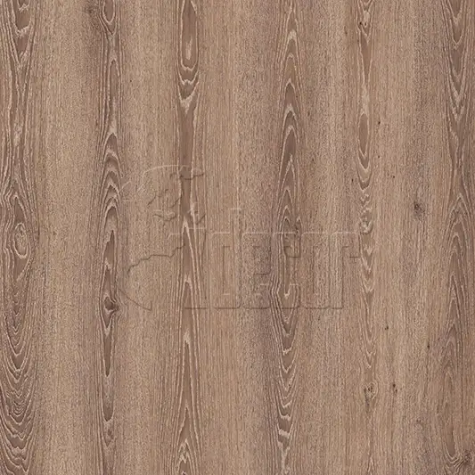 40710 Oak 1