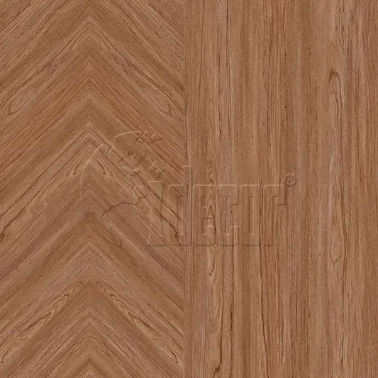 30505 1