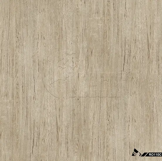 RO110C--伊维萨岛 1