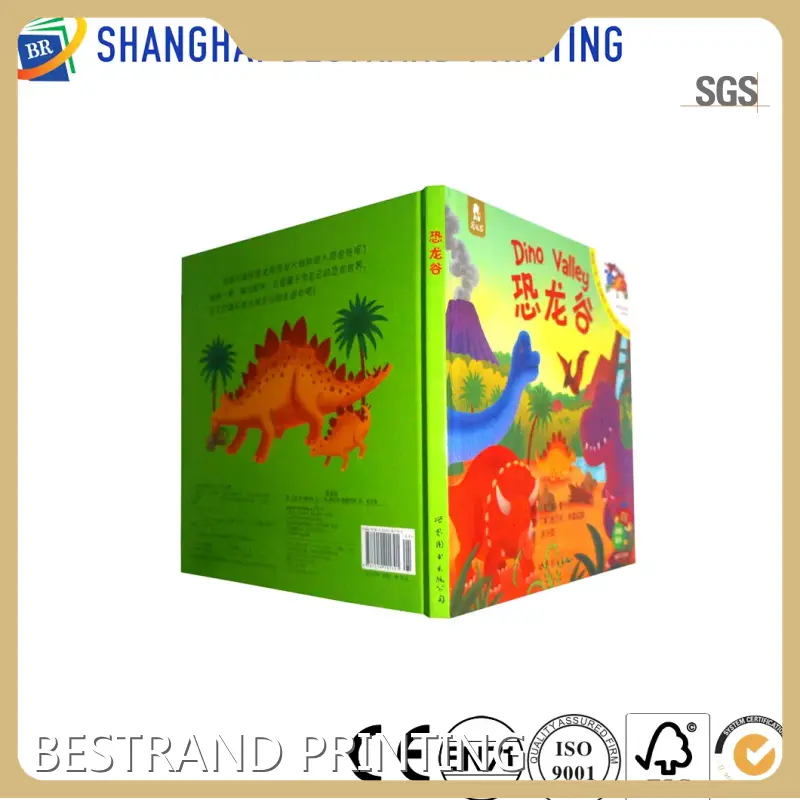 Factory Direct Book Printing Companies Series for School 1