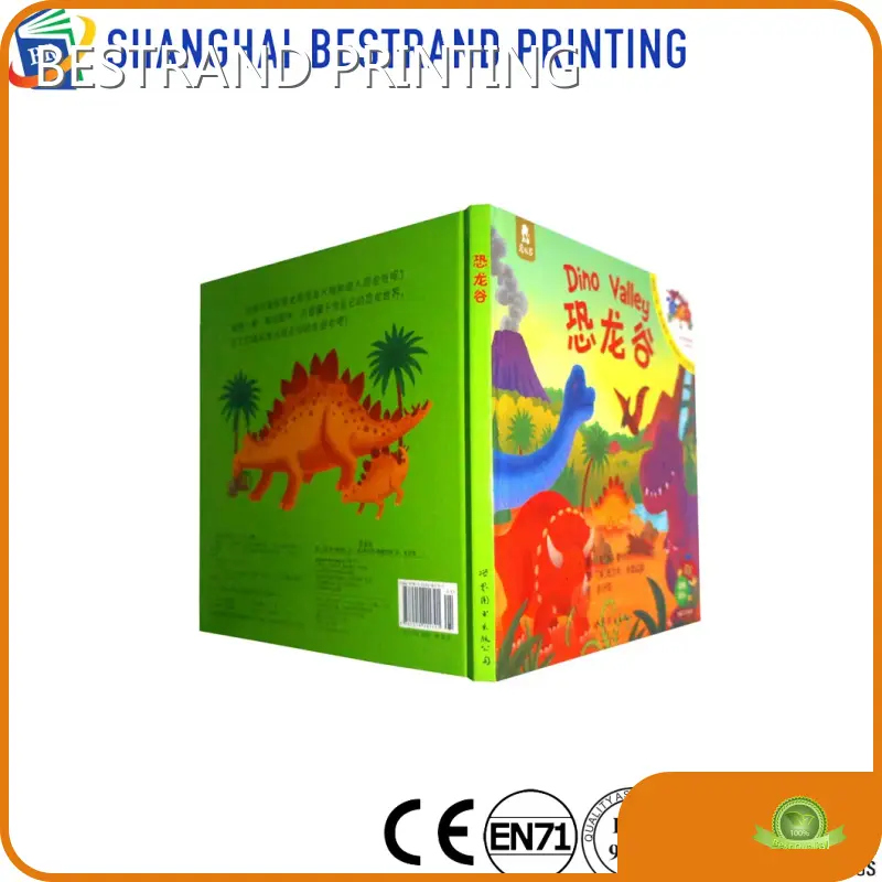 Affordable Book Printing OEM - for School - BESTRAND PRINTING 1
