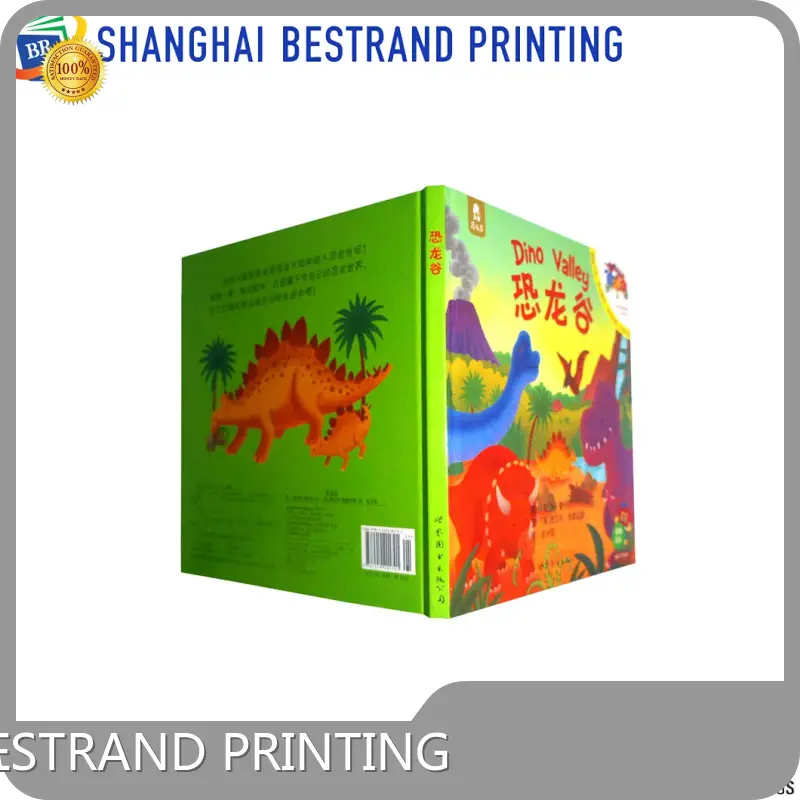 Bepokehardcover Notebook Printing for Marketplace OEM According to Customer 1