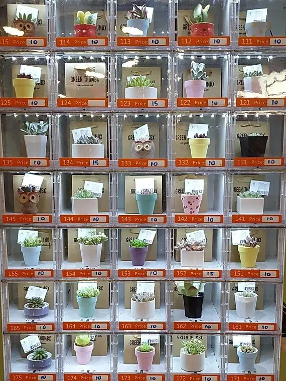 Vending Machine Service - for Offices - Haloo 4