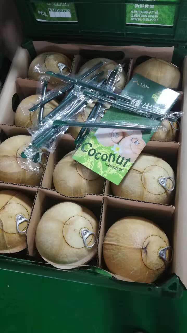drill coconut vending machine with sucker 2