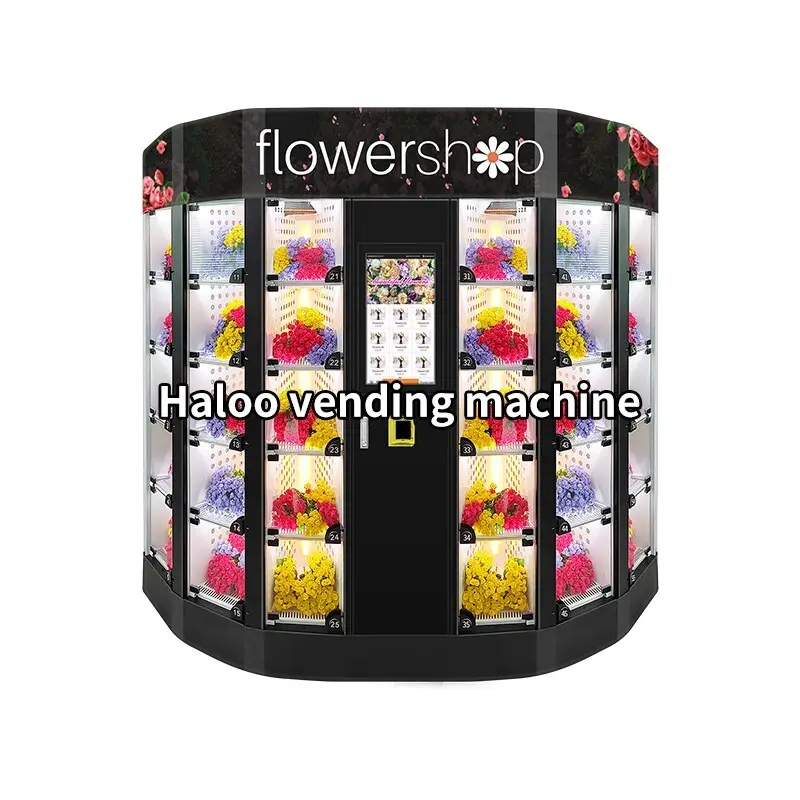 Haloo professional cabinet vending machine factory for snack 2