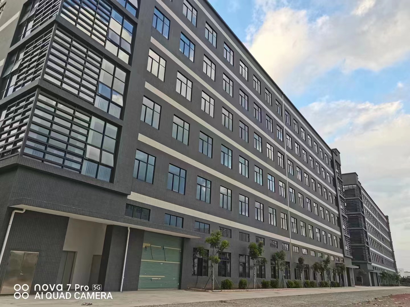 Haloo New Office Haloo