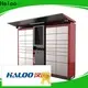 Haloo cost-effective vending kiosk wholesale for lucky box gift 1