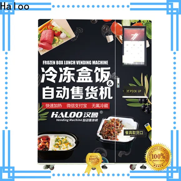 Haloo Frozen food vending machine42 1