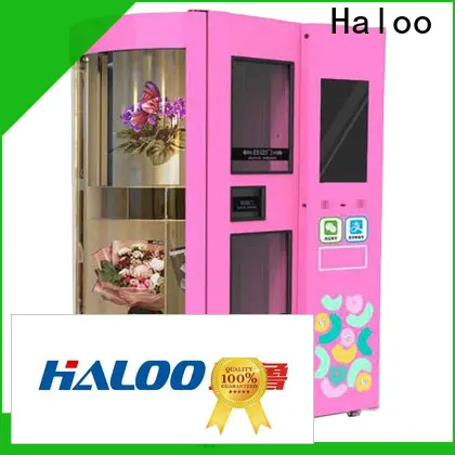 Haloo personalised vending machine supplier for food 1