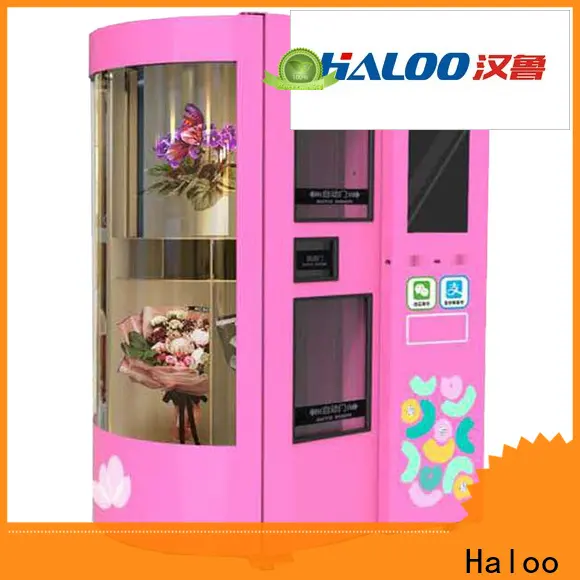 Haloo customized vending machine supplier outdoor 1