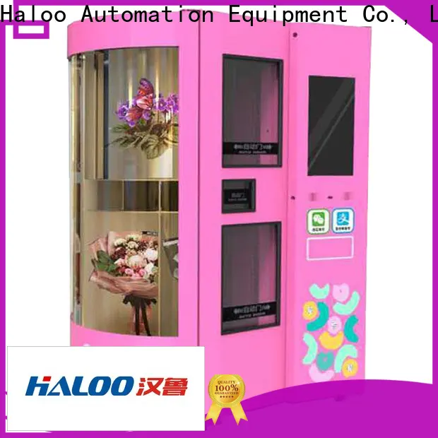 Haloo intelligent commercial ice vending machine wholesale for food 1