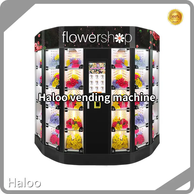 Good Selling Ice Cream Vending Machine for Sale with Custom Services 1