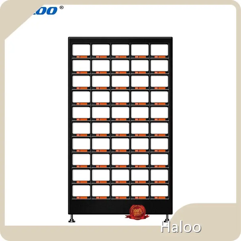Ice Vending Machine for Commercial Centers Guangzhou/Shenzhendirectly Sale 1