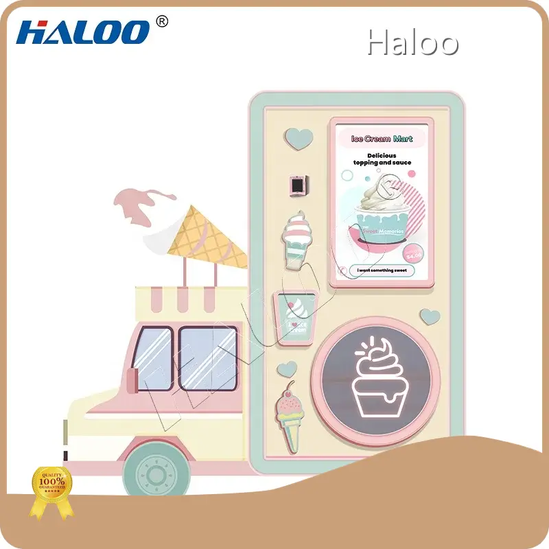 Ice Vending Machine for Sale 80-120 Cups - for Residential - Haloo 1