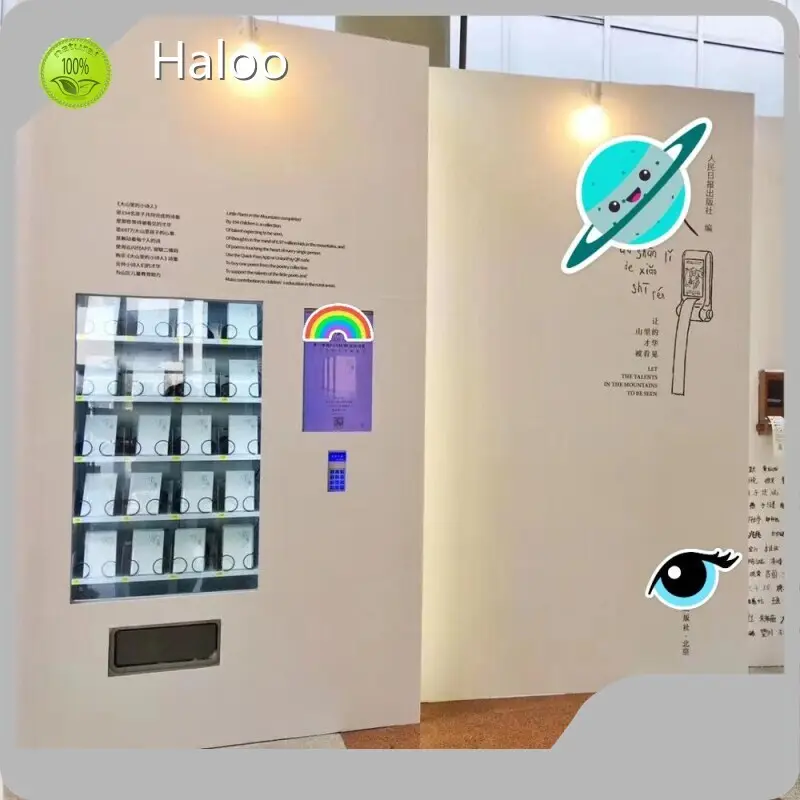 Haloo Ice Vending Machine Ice Vending Machinemanufacturing 1