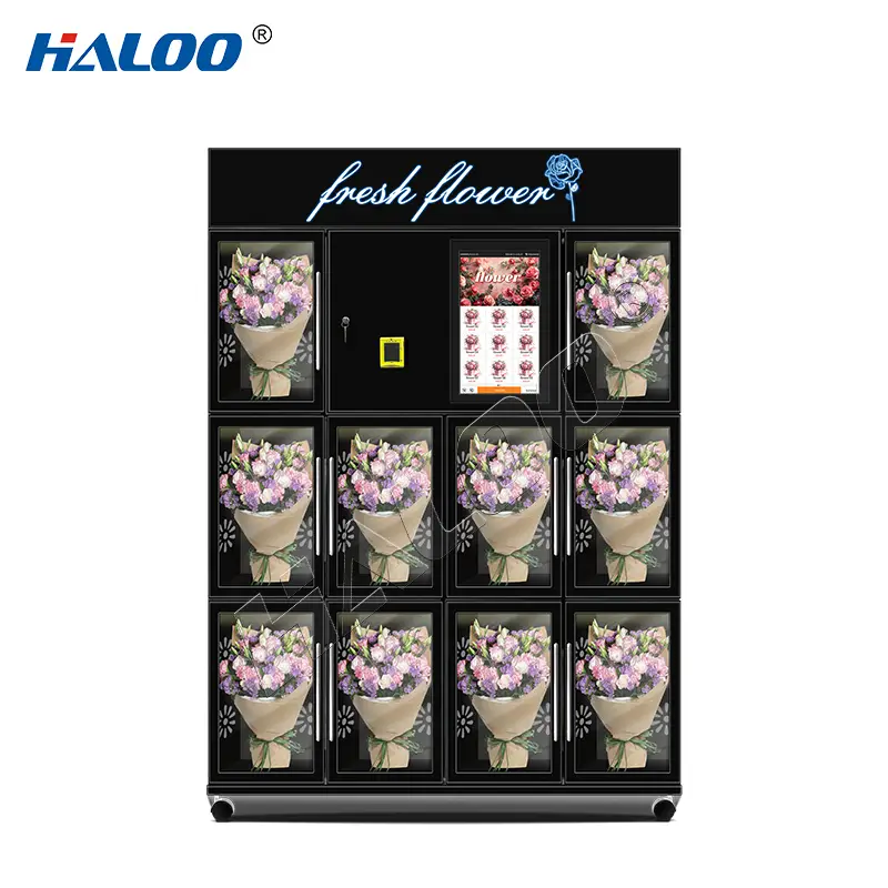 Haloo Thick Galvanized Sheet 10 Grid Flower Vending Machine Double Layer Anti Fog Glass Customizable Logo 1