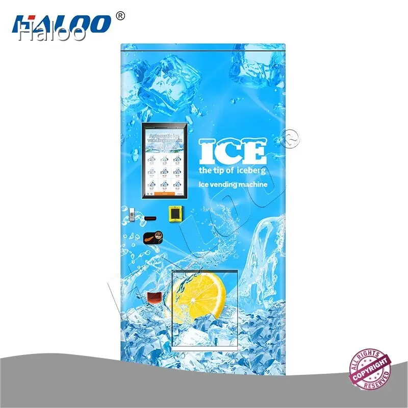 Ice Vending Machine Price by Haloo 1