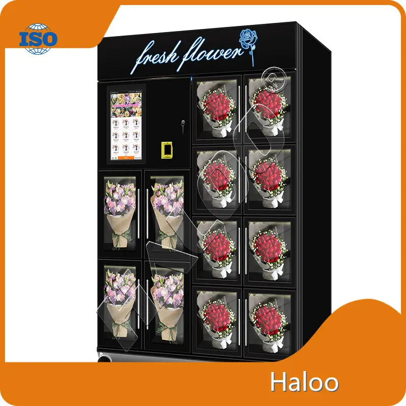 Haloo Flower Bouquet Vending Machine Flower Bouquet Vending Machine Manufacturer 1