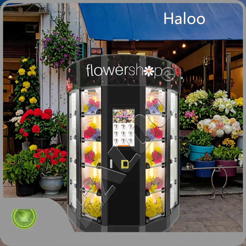 Vending Machine for Flowers - for Parks - Haloo 1