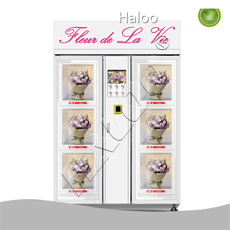 VENDING MACHINE Flower Vending Machine Price for Hotel Manufacturing 1