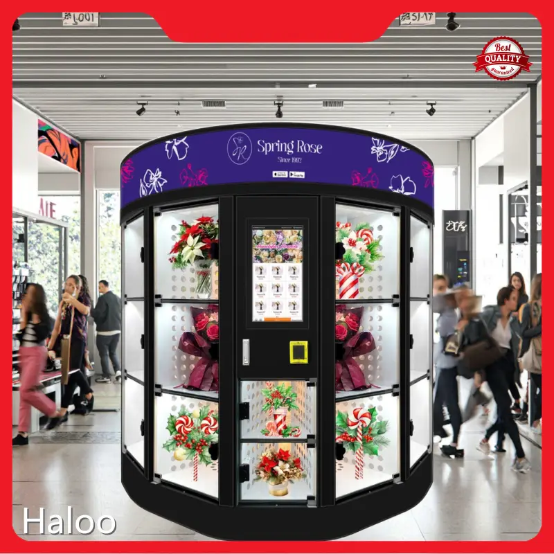 Low-Cost Bouquet Vending Machine for Schools 1