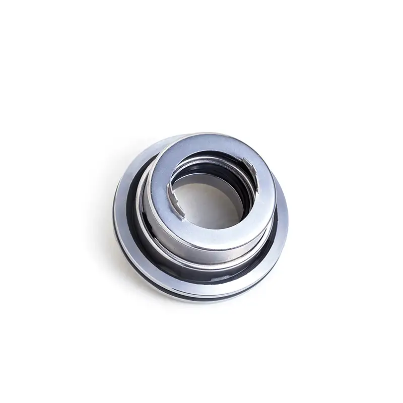 Lepu Seal competitive Blackmer Seal for wholesale for high-pressure applications 6
