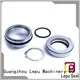 fsf Custom 3060 flygt mechanical seal plugin Lepu 1