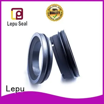 Mechanical Seal for APV Pump dairy for beverage Lepu 1