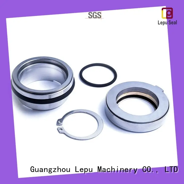 Lepu 3060 flygt pump seal customization for short shaft overhang 1