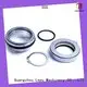 Lepu 3060 flygt pump seal customization for short shaft overhang 1