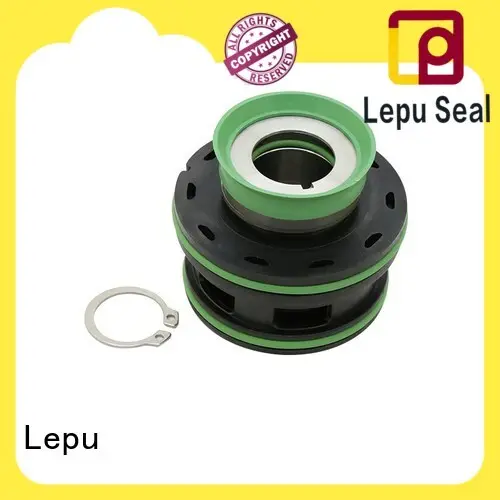 Lepu solid mesh Flygt 3152 Mechanical Seal customization for short shaft overhang 1