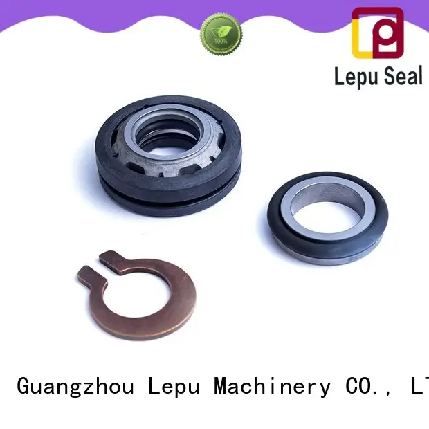 Lepu funky flygt pump mechanical seal delivery for short shaft overhang 1