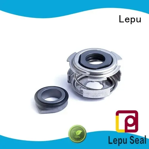 Lepu cnp grundfos mechanical shaft seals customization for sealing frame 1