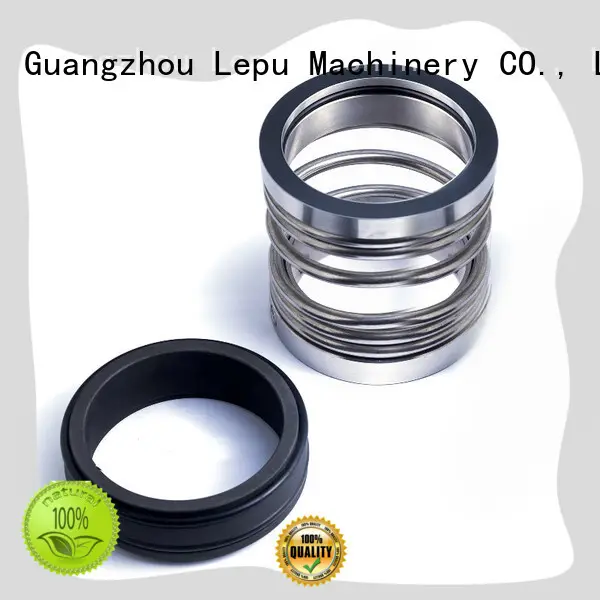Lepu high-quality pillar mechanical seal ceramic for high-pressure applications 1