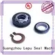 Lepu at discount flygt mechanical seal supplier for short shaft overhang 1