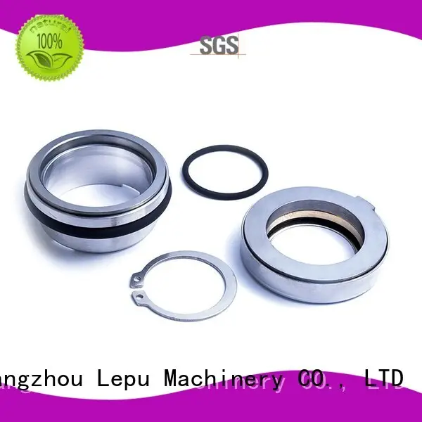 Lepu 100 flygt pump mechanical seal get quote for hanging 1
